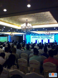 龍華金貿易登網 文藝演出與慶典活動策劃全解析